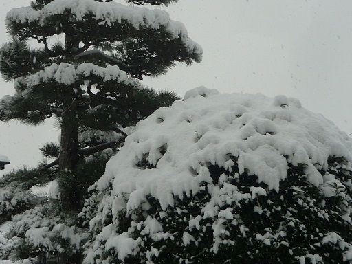 雪４.JPG