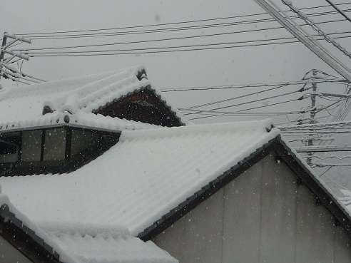 雪５.JPG